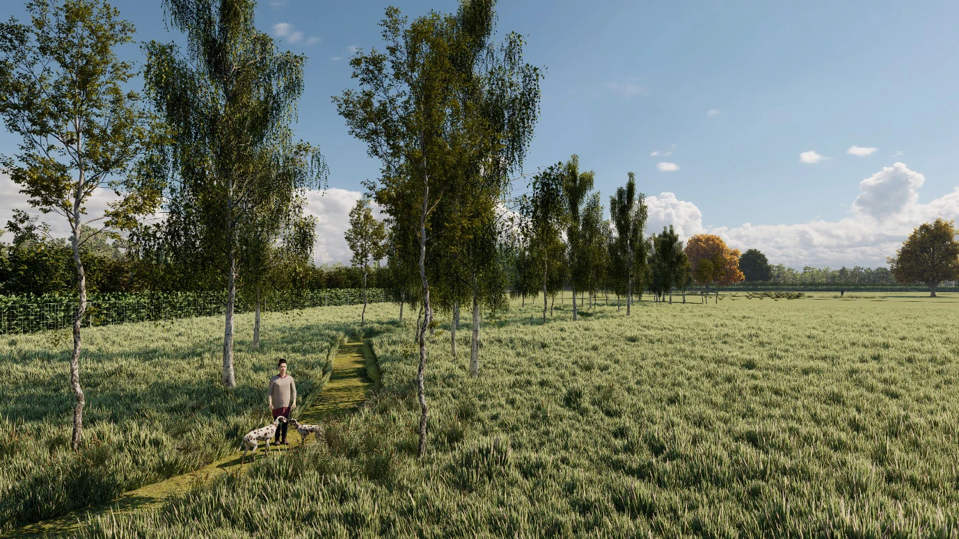dogfields1.jpg
